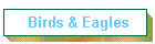Birds & Eagles