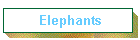 Elephants